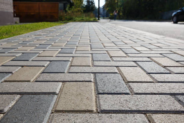 Best Local Driveway Pavers  in Winona, MN