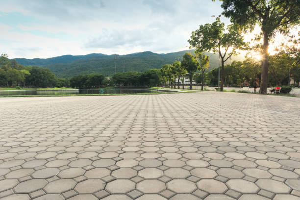 Best Driveway Paver Repair  in Winona, MN